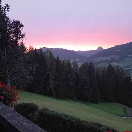 Appartement Ferienhaus Hochwimmer à Hollersbach im Pinzgau Extérieur photo