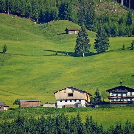 Appartement Ferienhaus Hochwimmer à Hollersbach im Pinzgau Extérieur photo