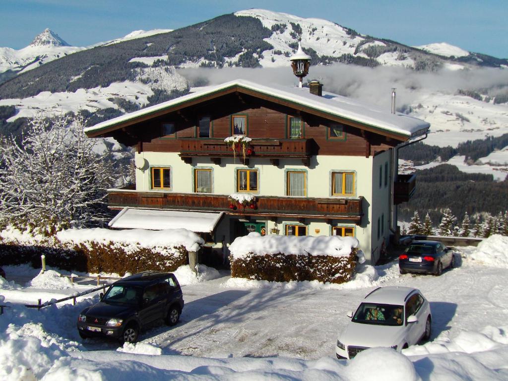 Appartement Ferienhaus Hochwimmer à Hollersbach im Pinzgau Extérieur photo