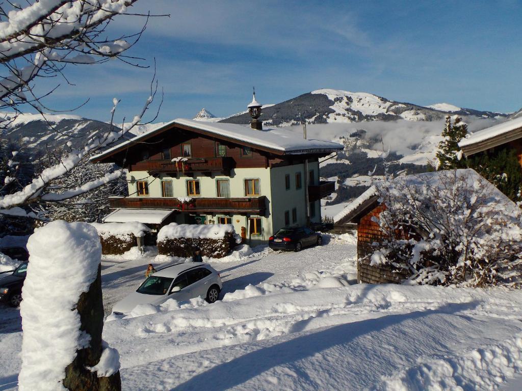 Appartement Ferienhaus Hochwimmer à Hollersbach im Pinzgau Extérieur photo