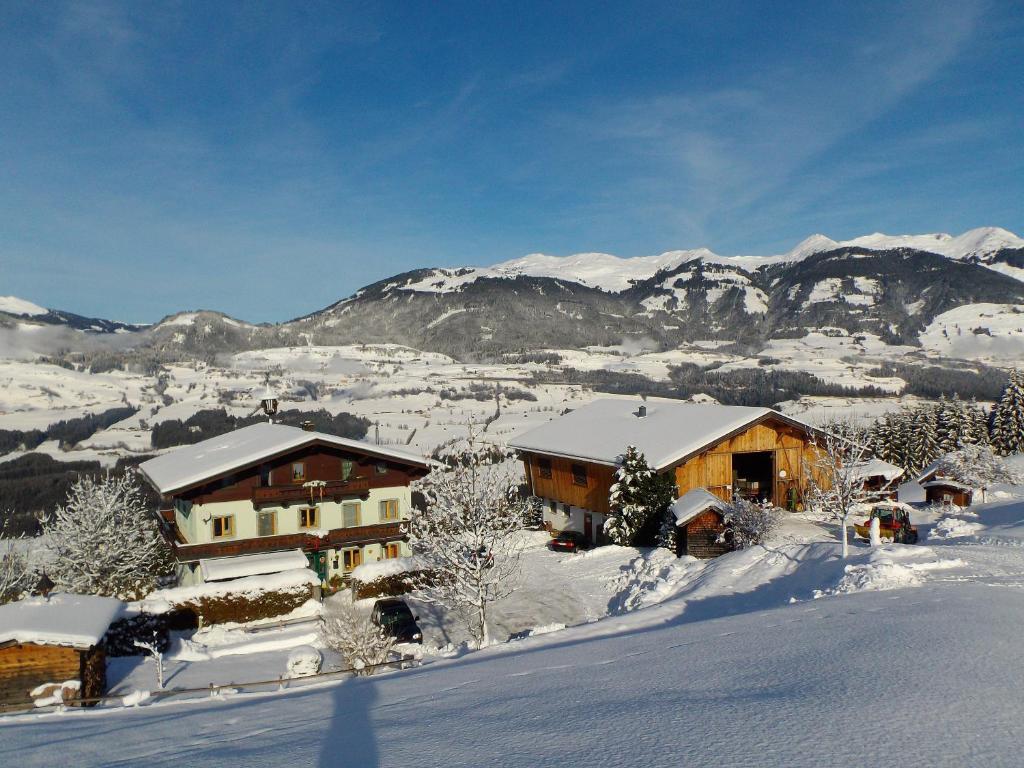 Appartement Ferienhaus Hochwimmer à Hollersbach im Pinzgau Extérieur photo