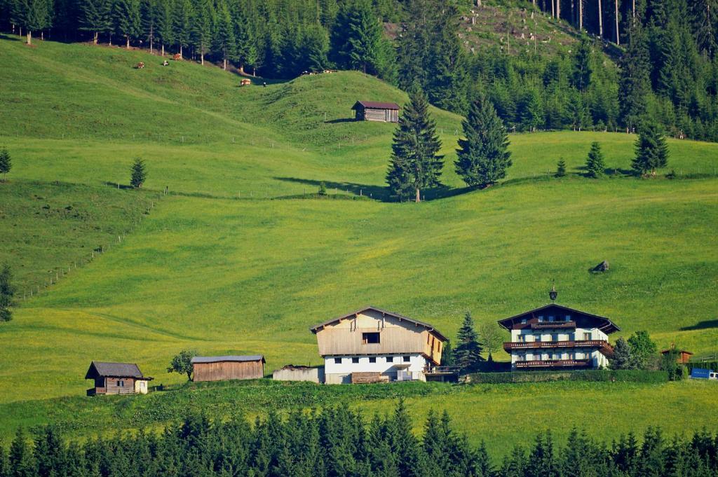 Appartement Ferienhaus Hochwimmer à Hollersbach im Pinzgau Extérieur photo